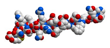 Hormone glucagon 3D molecular structure clipart