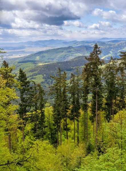 View of Vosges mountains in Alsace - France — Stock Photo, Image