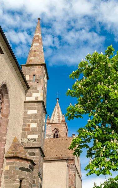 Katedra St. stephan Breisach - baden-wurttemberg, niemiecki — Zdjęcie stockowe