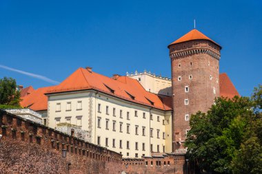 Wawel royal castle Krakow - Polonya