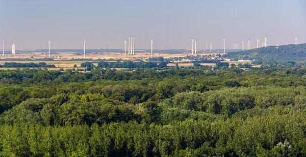 Parque eólico en Austria, vista desde el Castillo de Bratislava — Foto de Stock