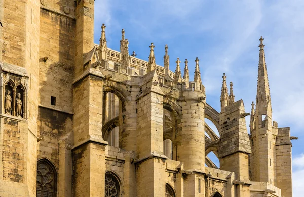 Dak van narbonne kathedraal - Frankrijk, languedoc-roussillon — Stockfoto