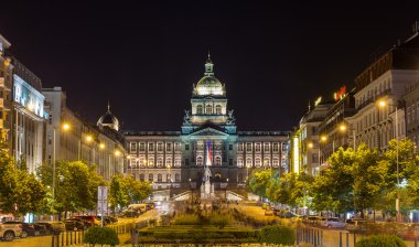 Prag Çek Ulusal Müzesi görünümü