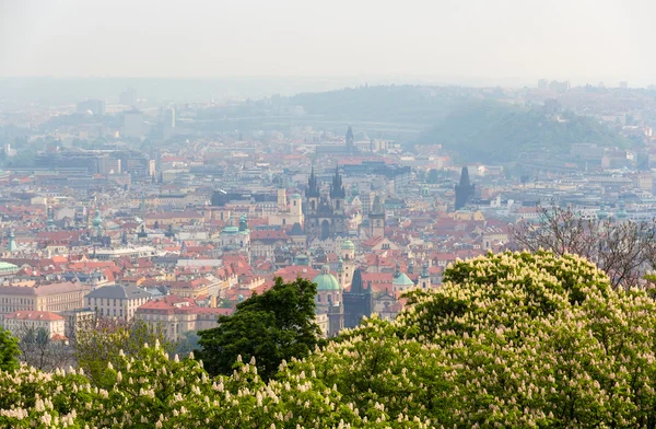 Blick auf die Prager Altstadt (stare mesto) - Tschechische Republik — Stockfoto