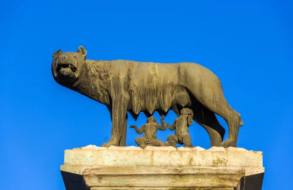 Capitoline Wolf statue in Rome, Italy — Stock Photo, Image