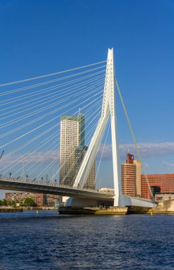 Görünüm erasmus Bridge Rotterdam, Hollanda