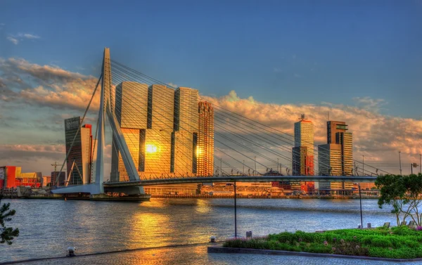 Vista de Rotterdam - Países Baixos — Fotografia de Stock