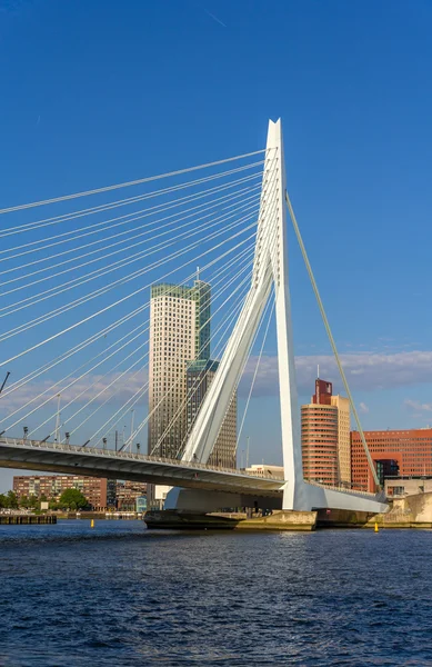 Visa av erasmus-bron i rotterdam, Nederländerna — Stockfoto