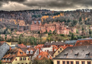 Heidelberg castle - Almanya, baden wurttemberg
