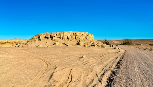 ペルーのオクカジェ砂漠の鯨化石 — ストック写真