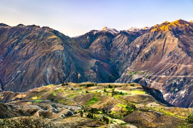 Peru 'daki Colca Kanyonu Manzarası