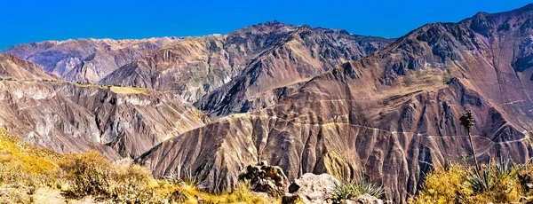 Cenário do Canhão Colca no Peru — Fotografia de Stock