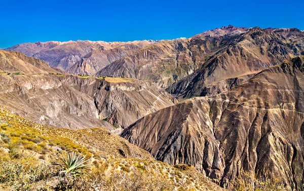 Landschaft des Colca-Canyons in Peru — Stockfoto