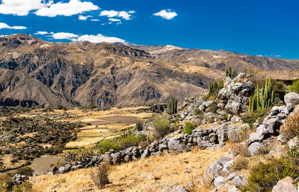 Krajobraz kanionu Colca w Peru — Zdjęcie stockowe