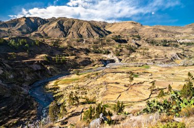 Peru 'daki kanyonuyla Colca Nehri