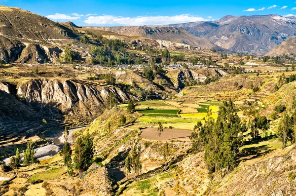 Pola tarasowe w kanionie Colca w Peru — Zdjęcie stockowe