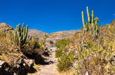 Peru 'daki Chivay' de İnka harabeleri