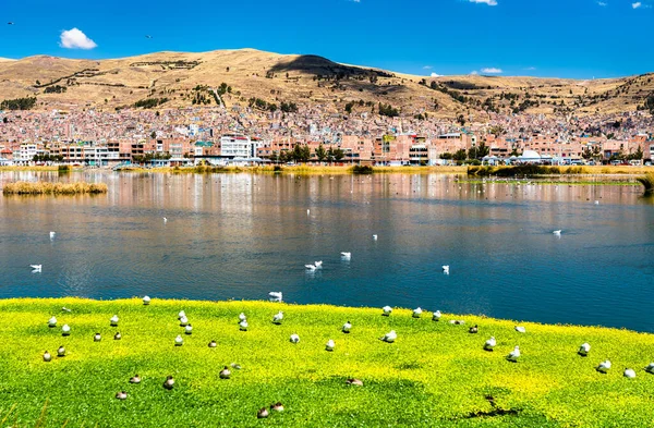 Kilátás Puno-ra a Titicaca tóból Peruban — Stock Fotó