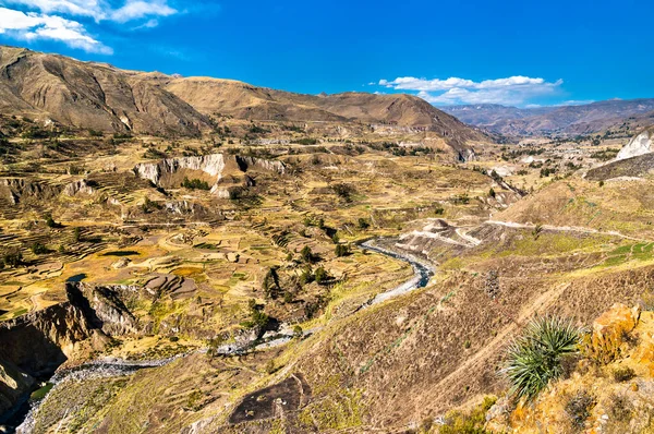 El río Colca con su cañón en Perú —  Fotos de Stock