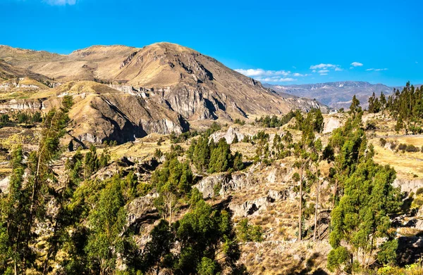 Peru 'daki Colca Kanyonu Manzarası — Stok fotoğraf