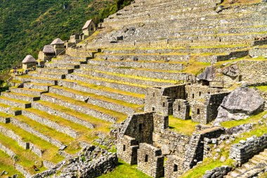 Machu Picchu, Peru, Güney Amerika 'da harabe.