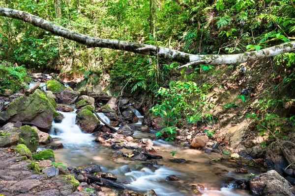 El Tirol waterfall in the jungle of Chanchamayo in Peru — стоковое фото