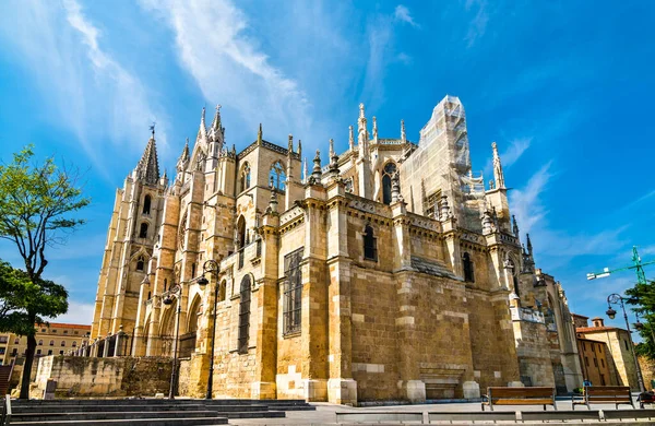 The Cathedral of Leon in Spain — стокове фото