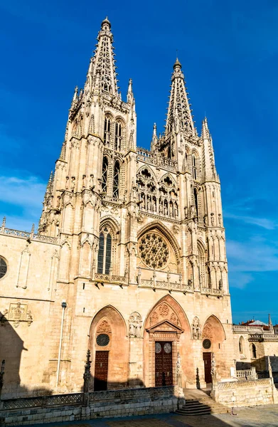 Kathedraal van Sint-Maria van Burgos in Spanje — Stockfoto