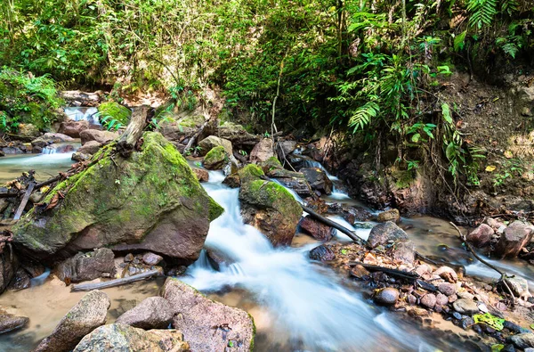 El Tirol waterfall in the jungle of Chanchamayo in Peru — стоковое фото