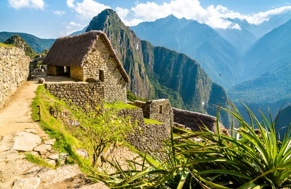 Machu Picchu Inca ruïnes in Peru, Zuid-Amerika — Stockfoto
