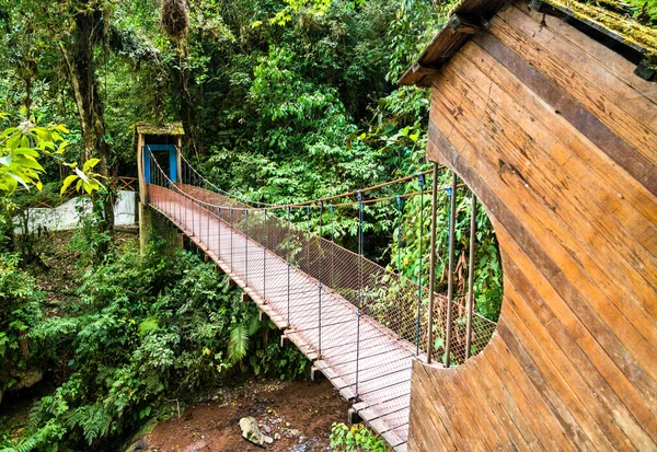 Puente sobre la cascada Río Tigre en la selva de Oxapampa en Perú — Foto de Stock