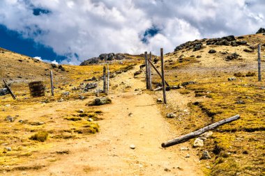 Huancayo, Peru 'daki Huaytapallana dağında yürüyüş yolu.