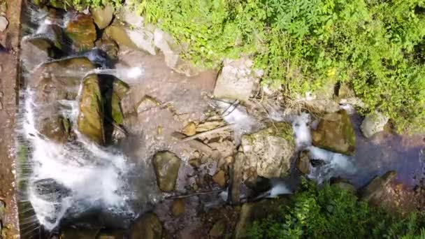 Rio Tigre vattenfall i djungeln Oxapampa i Peru — Stockvideo