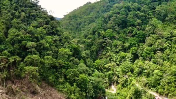 Rio Tigre waterfall in the jungle of Oxapampa in Peru — Stock Video