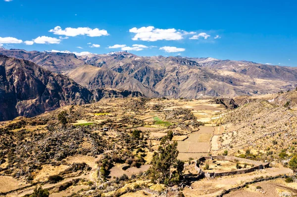 Peru 'daki Colca Kanyonu Manzarası