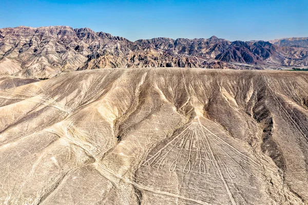 Vista aérea de los geoglifos de Palpa en Perú — Foto de Stock