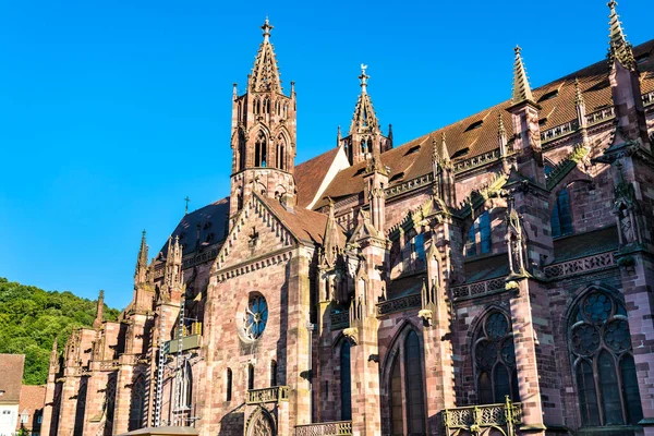 Freiburg Minster Cattedrale Friburgo Brisgovia Baden Wurttemberg Germania — Foto Stock