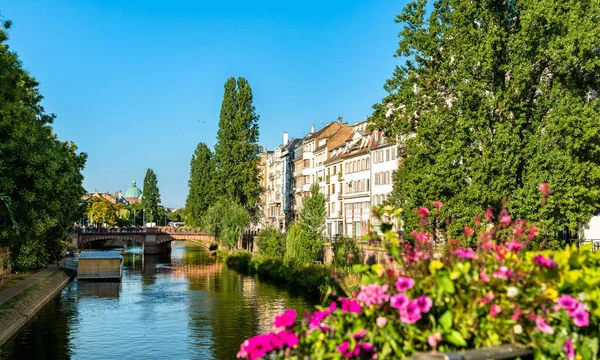 Widok Stare Miasto Strasburgu Kwiatami Alzacji Francja — Zdjęcie stockowe