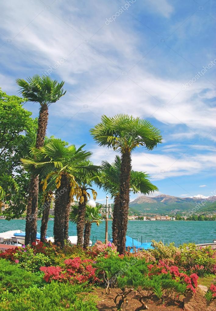 ルガーノ湖 ティチーノ州 ルガーノ スイス ストック写真 C Eurotravel ルガーノ湖 ティチーノ州 ルガーノ スイス ストック写真 C Eurotravel