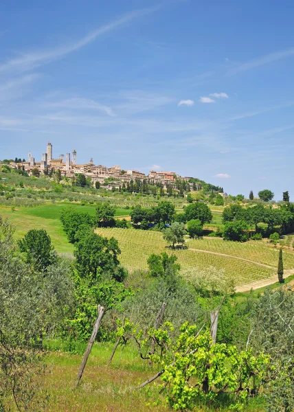 San Gimignano, Toskana, İtalya — Stok fotoğraf