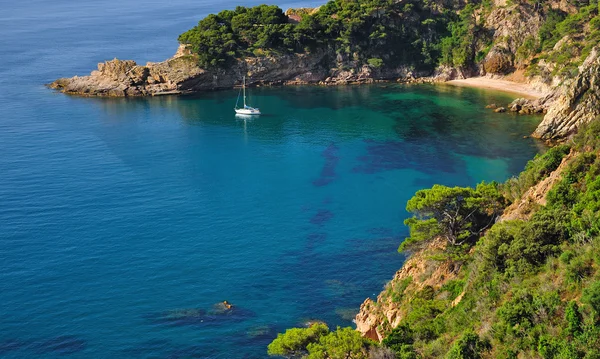 Kustlandskap, costa brava, Spanien — Stockfoto