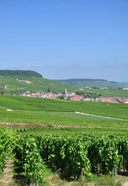 Oger, Región de Champagne, Francia — Foto de Stock