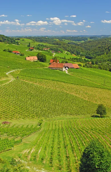 Styrian Toscana, Steiermark, Itävalta — kuvapankkivalokuva