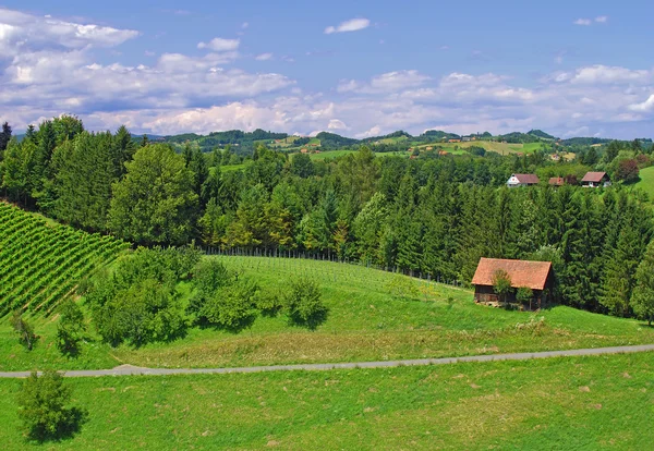 Steiermark Toscana, Steiermark, Österrike — Stockfoto