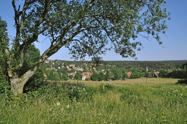 Braunlage, περιοχή harz, Γερμανία — Φωτογραφία Αρχείου