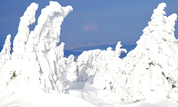Wintertime on Brocken Mountain,Harz Region,Germany — Stock Photo, Image