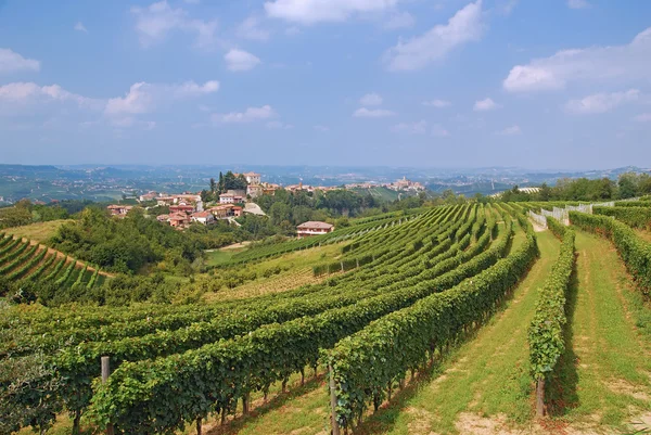 Tájkép Piedmont közelében Asti, Olaszország — Stock Fotó