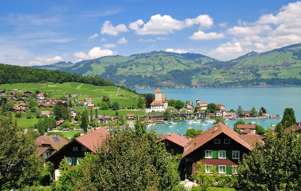 Spiez, Lago Thun, Suíça — Fotografia de Stock