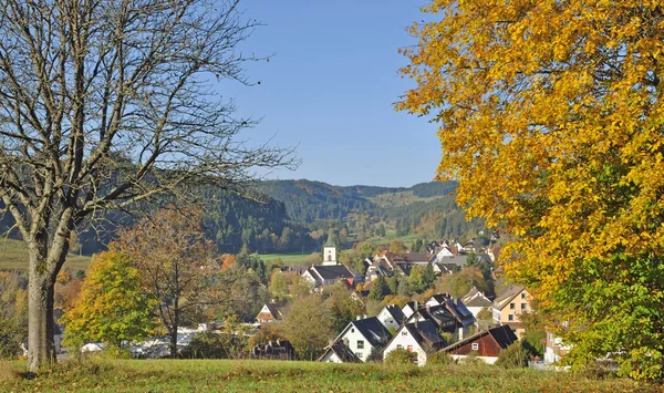 Lenzkirch, Zwarte Woud, Duitsland — Stockfoto