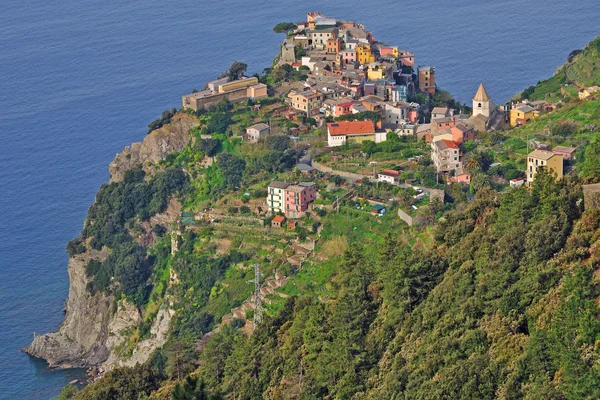 Corniglia, Cinque Terre, Riviera italiană, Liguria, Italia — Fotografie, imagine de stoc